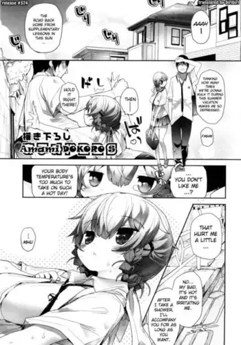 秋桜が咲いた日に