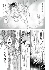 (C92) [Kumaya (Bear Knuckle)] Ayame