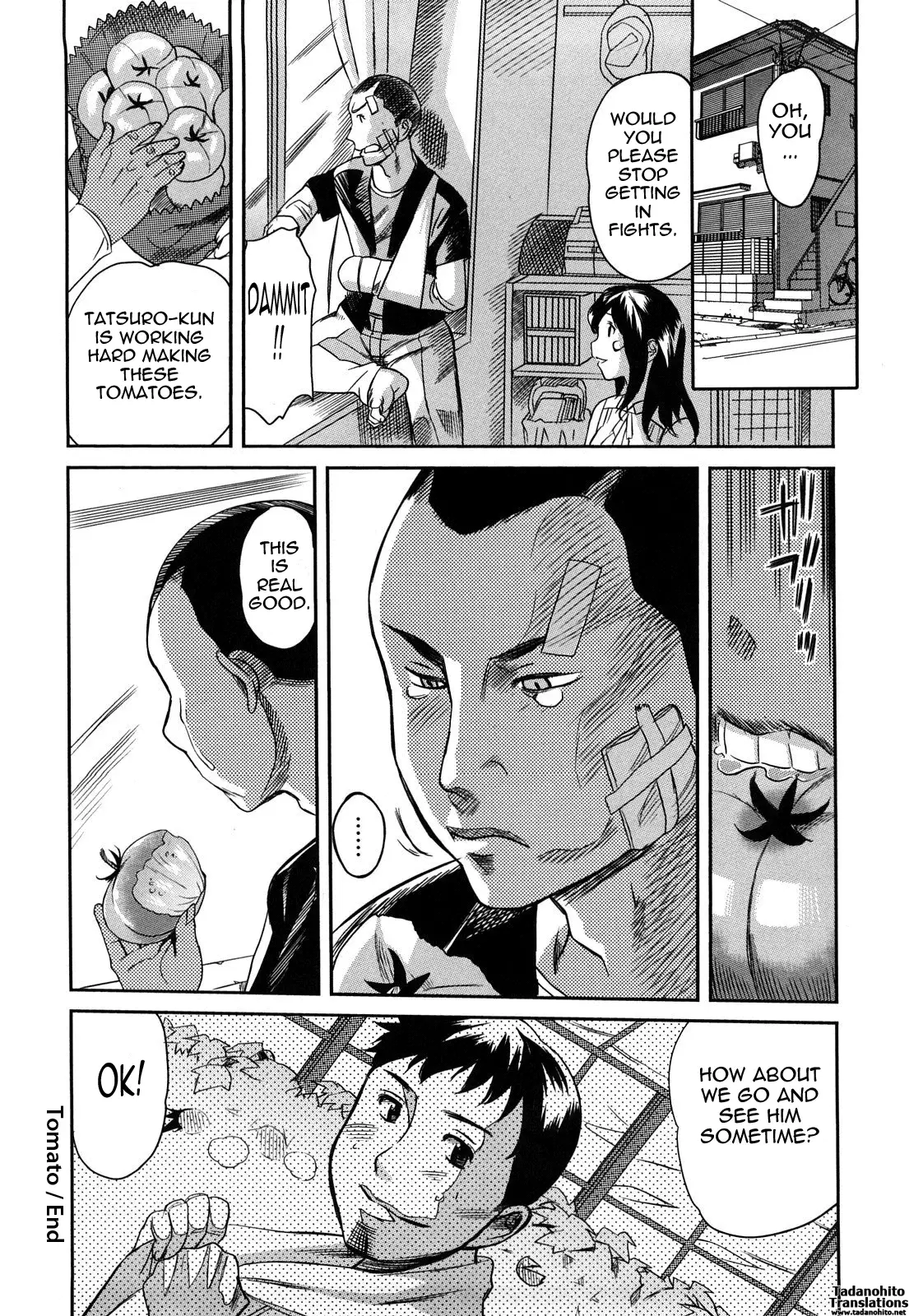 Oppai Collection - Pai Colle