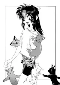 (C56) [.30-06 (Tsutsumi Akari)] CAZA MAYOR ~'99 estio~