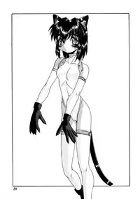 (C56) [.30-06 (Tsutsumi Akari)] CAZA MAYOR ~'99 estio~