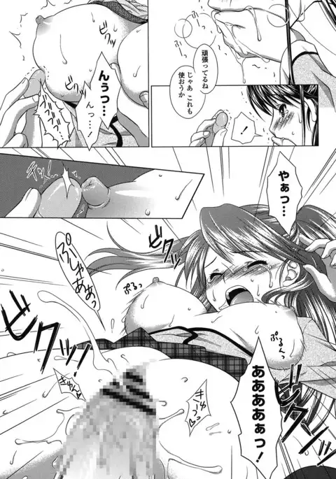 Seiso de Midarana Kanojo