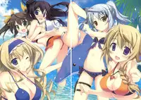 (C80) [Essentia (Fujima Takuya)] Natsushiki IS Beach (Infinite Stratos)