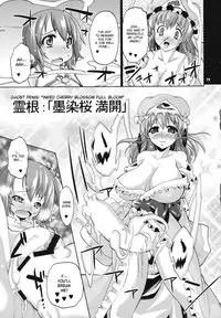 (C78) [Albatross (Nikusyo, Mei)] Idol Misuchi Ikimasu!! (Touhou Project) [English] [desudesu]