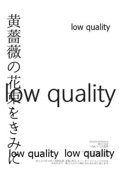 黄薔薇の花束をきみに