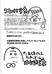 (C88) [Megaton Express (Fushimori Tonkatsu, Omega Destroyer)] Madder red (Touhou Project)