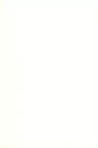 (C59) [Harvest Home (Kayanagi Takahiro)] Digging in the Dirt 6