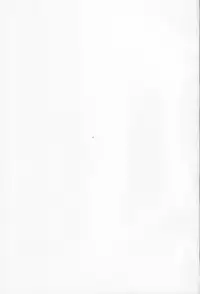 (C83) [Synthetic Garden (Miwa Yoshikazu)] Night Ops (Strike Witches)