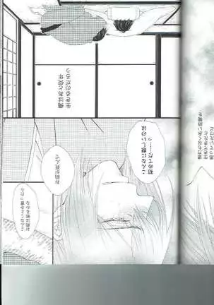 Petals Falling on Rippling Waters