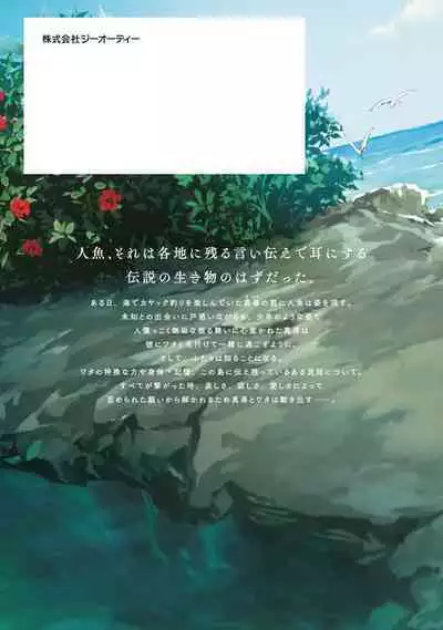 Shiokaze Mellow | 海风轻柔