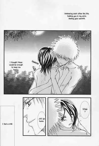 [TRANCEG (Tokugawa Miyo)] Lovers' Soul (Bleach) [English] [EHCOVE]