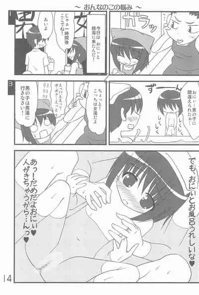 (C74) [Shiritsu Sakuranbo Shougakkou (Misooden)] Imouto Pet -repure-