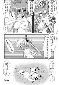 (C83) [Syamisen Koubou (Koishikawa)] SKINNY BLUES (Mahou Shoujo Lyrical Nanoha)