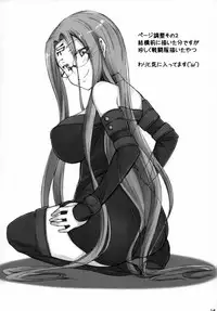 (C91) [Shirakaba Doori (DRY)] R11 (Fate/stay night)