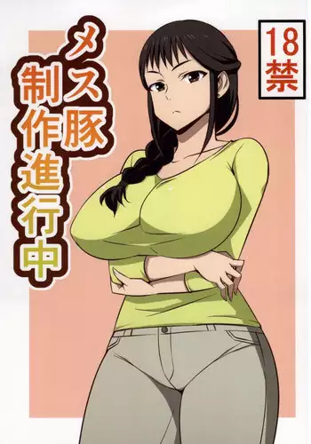 (COMIC1☆9) [Mattari House (Aitsu)] Mesu Buta Seisaku Shinkouchuu (SHIROBAKO)