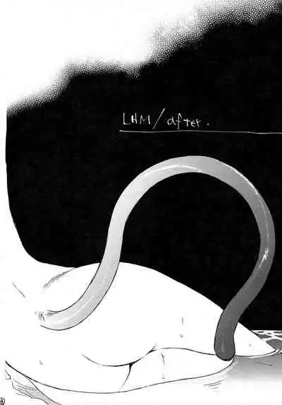 LHM/after