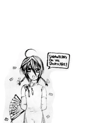 STRAWBERRY ON THE SHORTCAKE