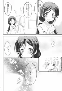 (C92) [A after school of silence (Tukise Mizuna)] Secret Garden (Love Live!)