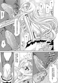 (C85) [GOLD RUSH (Suzuki Address)] IS 2 (IS <Infinite Stratos>) [Chinese] [graviton个人汉化]