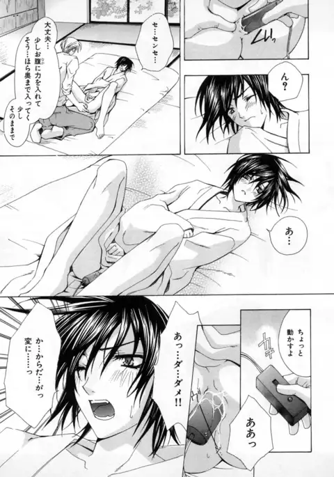 b-BOY Phoenix Vol.4 Seikantai Tokushuu