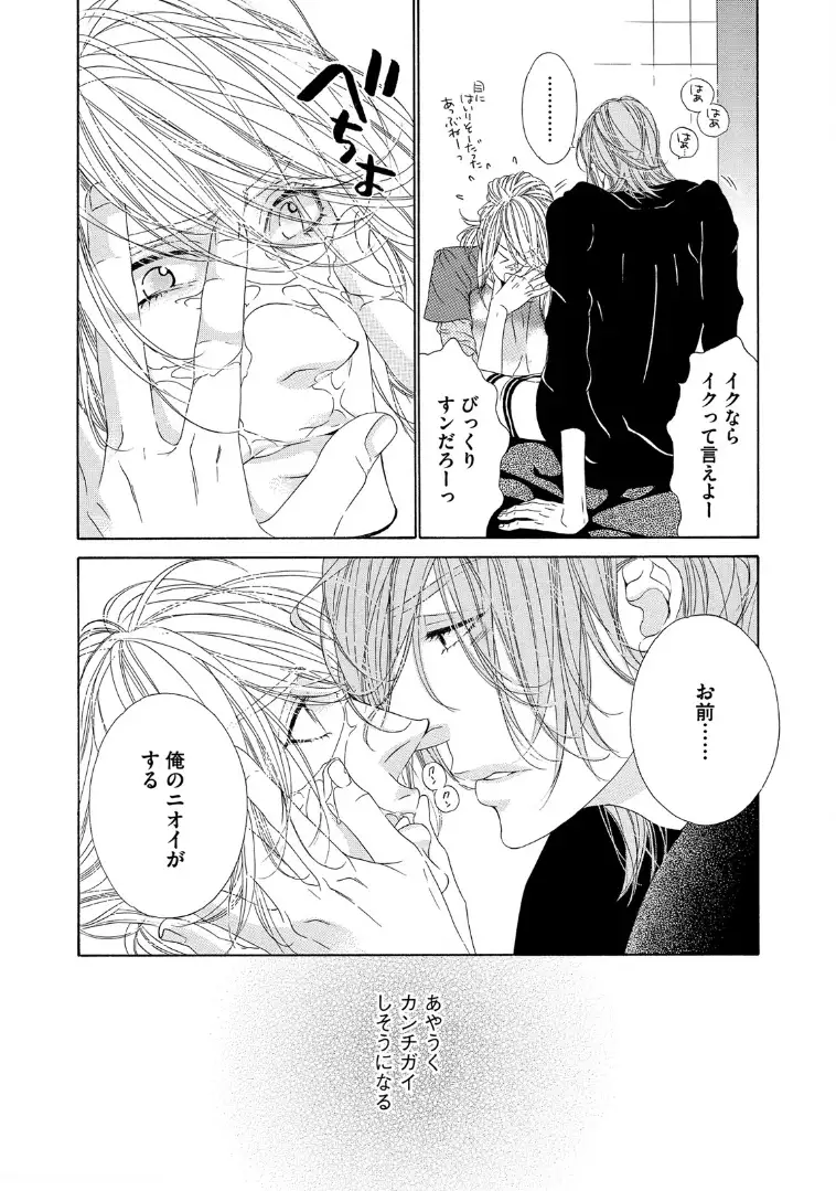 STAR☆Knight | スタア☆ナイト