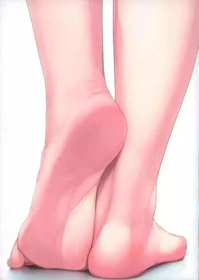 FGO no Ashibon 8 | FGO的足控本8