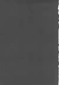 (C82) [Youkai Tamanokoshi (CHIRO)] Bianca no Waki (Dragon Quest V)