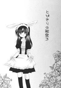 (C68) [Sakurakan (Seriou Sakura)] Tobikiri no Himitsu 3 <<Kanketsuhen>> (Inuyasha)