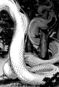 [Jyoka] Hachishaku Hachiwa Keraku Meguri - Igyou Kaikitan Ch. 1-6 [English] [Mongolfier]