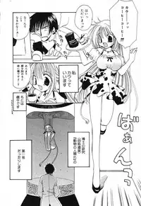 [Anthology] Pure Petit Vol. 6