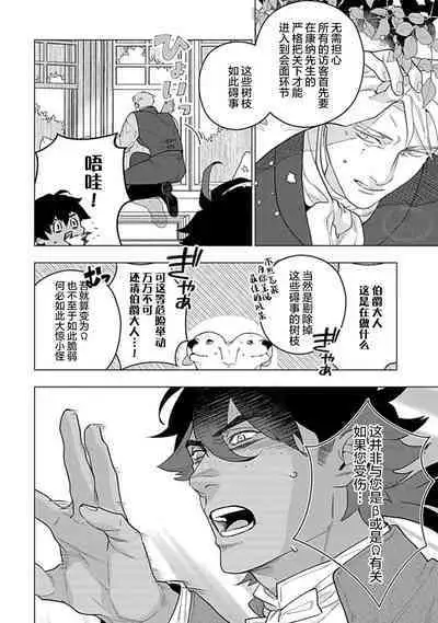 Hoshikuzu no Debutante | 玫瑰香的命定之星