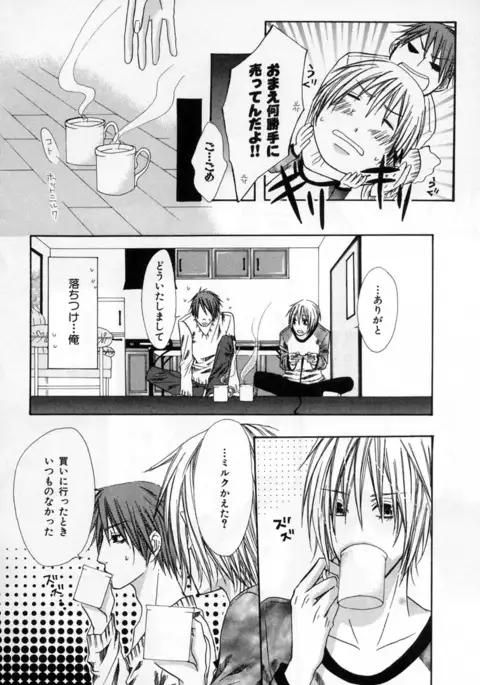 b-BOY Phoenix Vol.4 Seikantai Tokushuu