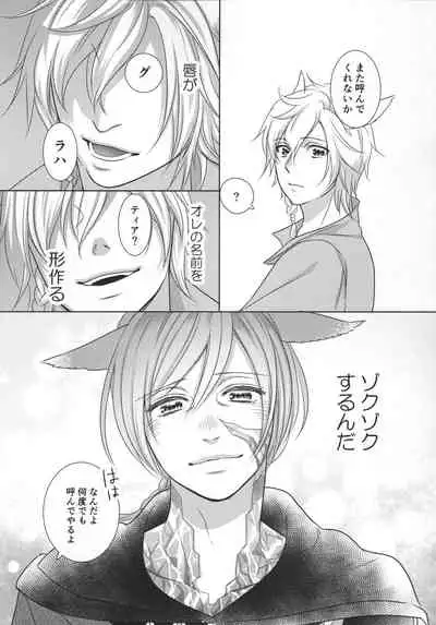 [Nawofu Mochi (Nawofu)] Focus (Final Fantasy XIV)