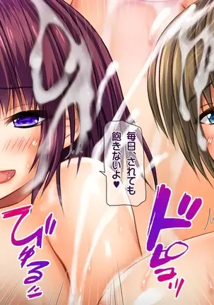 Saikyō no haramase kyoka-shō jusei tanetsuke kanryō