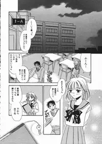 [Someya Miho] Honey Piece