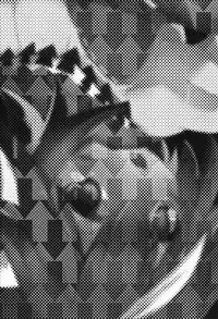 (Shuuki Reitaisai) [Shumisen Jiru (Yashiro Ryo)] Kyouki Ningen (Touhou Project) [Chinese] [CE家族社]