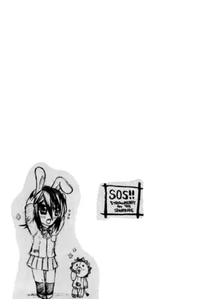 STRAWBERRY ON THE SHORTCAKE