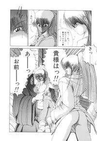 [Makoto Fujisaki] Dark Wirbel Vol 2