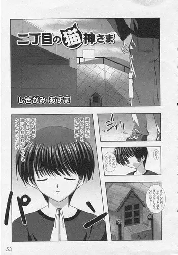 [ShikigamiAzuma]God Chome cat