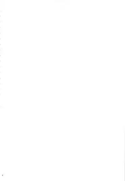 Akarui Mirai THE BITCHES 2