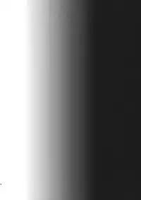 (C88) [Inaka no Yasaiya (Hubrael)] Usagi no Tane (Touhou Project)