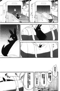 [Momoko] Rabbit Paradise [Chinese]