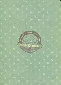 (C84) [TRIP SPIDER (niwacho)] cado2 (Fate/stay night)