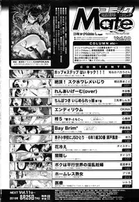 COMIC Mate Legend Vol.10 2016-08
