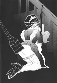 (C51) [Chimatsuriya Honpo (Various)] FSB (Neon Genesis Evangelion)