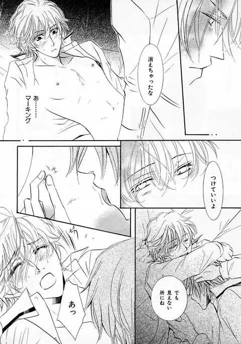 b-BOY Phoenix Vol.4 Seikantai Tokushuu