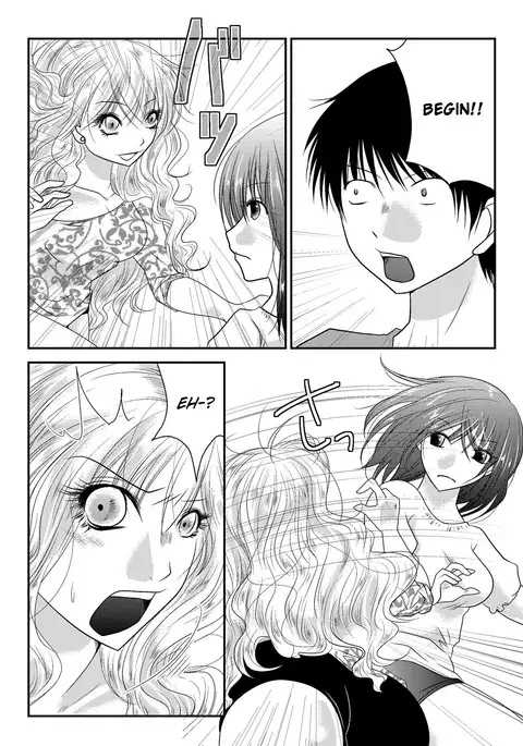 Realistic Account of a Mixed Fight Report