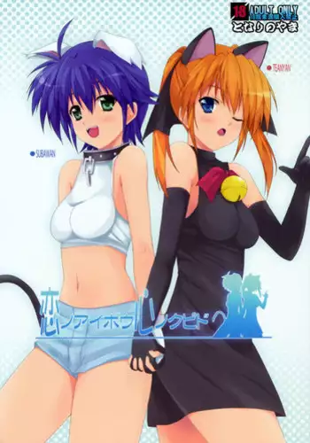 (C76) [Tonarinoyama (Yokoyama Kouji)] Ai no Aibou Kokoro no Cupid (Mahou Shoujo Lyrical Nanoha StrikerS)