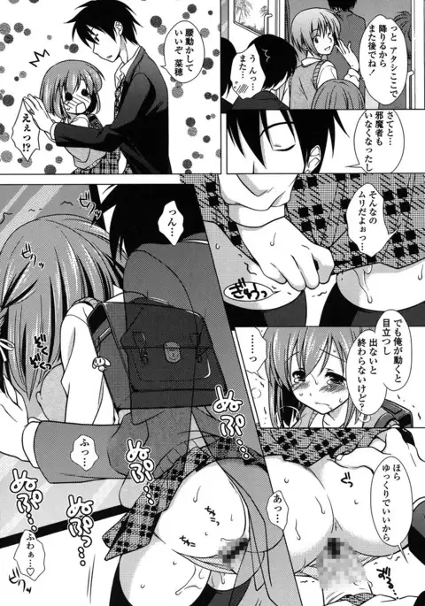 Seiso de Midarana Kanojo