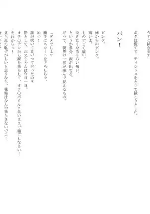 男の娘セーラー戦士W